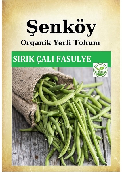 Sırık Ince Çalı Fasulye Tohumu Doğal Ata Kılçıksız Sırık Ince Fasulye Tohum Pakette 25 gr