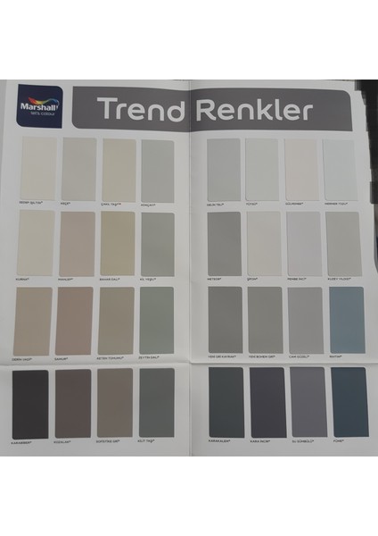 Silikonlu Özel Mat Silinebilir Iç Cephe Boyası 15LT Yeni Kırık Inci fırsatları