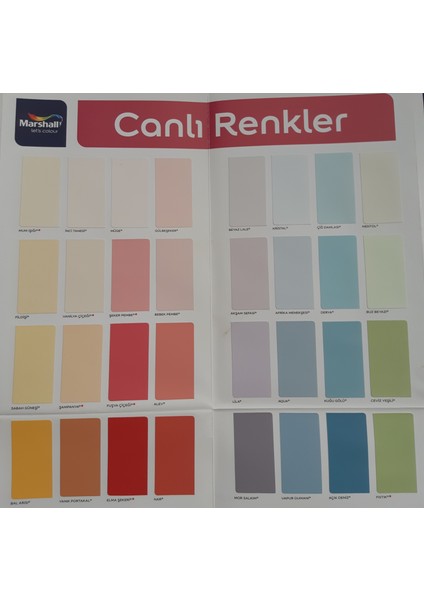 Silikonlu Özel Mat Silinebilir Iç Cephe Boyası 2.5lt Mentol