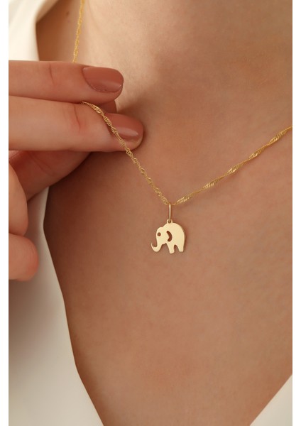 14 Ayar Altın Singapur Zincir Fil Kolye fiyatları