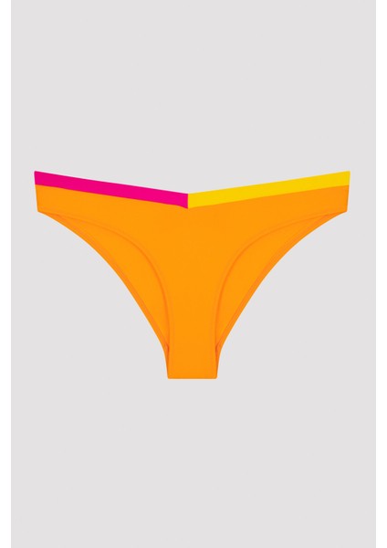 Çok Renkli Santos V Kesim Bikini Altı