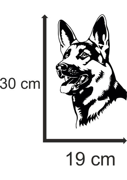 Alman Kurdu Sticker 30X 19 Kolay Uygulama