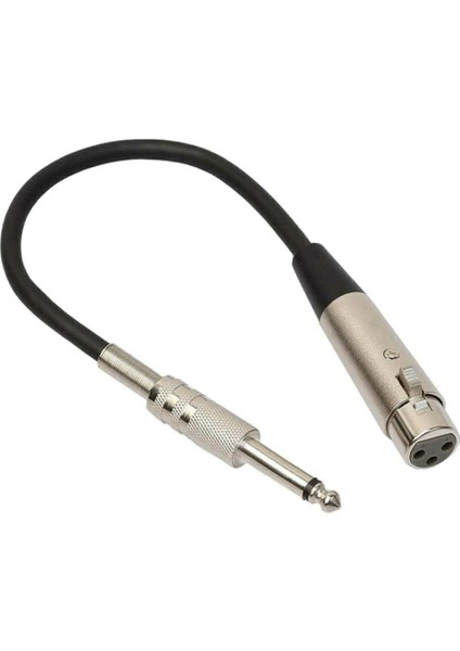 Stereo Mikrofon Kablosu 3p Fişine 1/4 '' 6.35MM Dişi Mono Jack Fiş Kablosu 3m (Yurt Dışından)