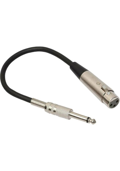 Stereo Mikrofon Kablosu 3p Fişine 1/4 '' 6.35MM Dişi Mono Jack Fiş Kablosu 3m (Yurt Dışından)