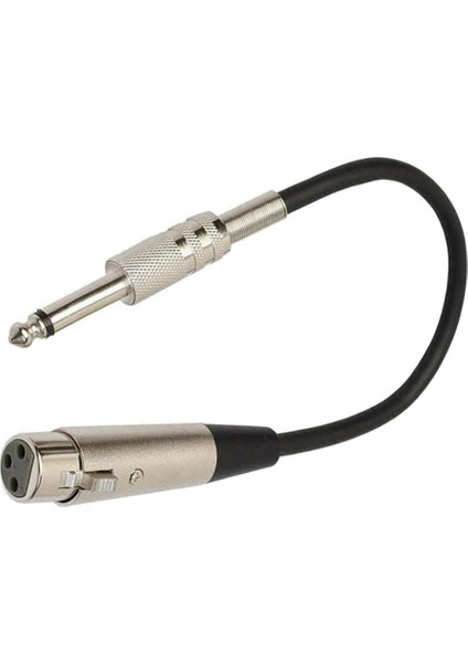 Stereo Mikrofon Kablosu 3p Fişine 1/4 '' 6.35MM Dişi Mono Jack Fiş Kablosu 3m (Yurt Dışından)