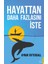 Hayattan Daha Fazlasını Iste - Aynur Tattersall 1