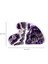 Aurelia Amethyst Gua Sha Crystal - Heart - Gua Sha Taşı - Ametist 5