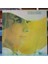 Esther Ofarim * Esther Ofarim..,almanya Baskı 1969 Lp 1