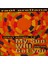 Raúl Orellana Featuring Jocelyn Brown ,my Sun Will Get You 1992LP 1