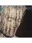 Feargal Sharkey Feargal Sharkey 1985 Lp 1