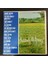 Suddenly It's Spring! ,amerikan Baskı 1985 Lp 1