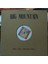 Big Mountain,europa Print 1995 Lp 1