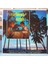 Caribbean Nights ,amerikan Baskı Lp 1