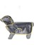 Köpek Yağmurluğu -Sarı - (Small) 1