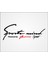 Sports Mind Fiat Punto Sticker 1