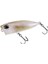 Tetra Works Pocopoco 40F CCC0295 Ghost Aji 1