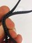 Bluehouse Bh 621 Ekmek Makinası Kayış Takımı 2 Li Seti Eni 8mm Kalın Kayış Grubu En 8mm 3