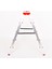 Alüminyum Çift Çıkışlı 5 Basamaklı Merdiven(109 Cm) (Accm.03) 2