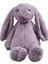 29CM Uzun Kulak Tavşan Yumuşak Peluş Oyuncaklar Uyuyan Çocuk Bebek Doğum Günü Hediyesi (Yurt Dışından) 1