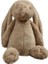 29CM Uzun Kulak Tavşan Yumuşak Peluş Oyuncaklar Uyuyan Çocuk Bebek Doğum Günü Hediyesi (Yurt Dışından) 1