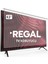Regal 43R604F Tv Ekran Koruyucu - Regal 43" Inç Tv Ekran Koruyucu Şeffaf Paneli 1
