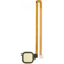 Teknonet GR5 2017 Teknonet NT-30141 Joystick