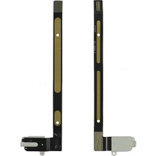 Nettech iPad Air NT - 30187 Filmli Kulaklık Soketi