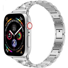 Nettech Apple Watch Uyumlu Seri 42/44 mm Metal Three Beads Set Kol Kordon