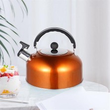 Islık Çay Su Isıtıcısı Pratik Kaynama Çaydanlık Paslanmaz Çelik Çay Kettle | Su Isıtıcılar (Yurt Dışından)