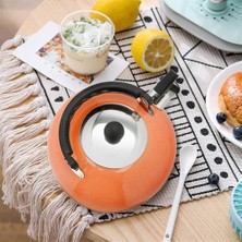 Islık Çay Su Isıtıcısı Pratik Kaynama Çaydanlık Paslanmaz Çelik Çay Kettle | Su Isıtıcılar (Yurt Dışından)