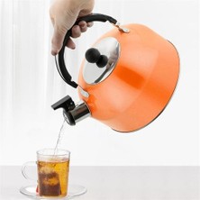Islık Çay Su Isıtıcısı Pratik Kaynama Çaydanlık Paslanmaz Çelik Çay Kettle | Su Isıtıcılar (Yurt Dışından)