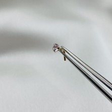 Gold Piedra Tırnaklı Tektaş Altın Hızma