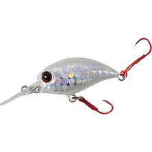 Duo Tetra Works Kurakura AQA0111 White Glow