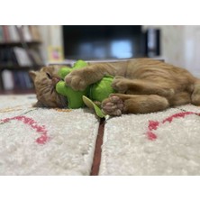 Dino Catnip (Kedi Naneli) Kedi & Küçük Köpek Oyuncağı Keçe Kurbağa