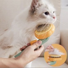 Dream Plus Kabak Tasarım Tuşlu Evcil Hayvan Tarağı Otomatik Temizlenen Kedi Köpek Fırçası Tüy Toplayıcı Tarak