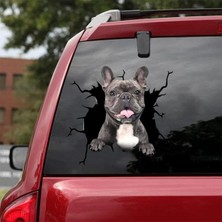 TSC Araba Arka Cam Köpek  Sticker Yapıştırma 17 cm A6