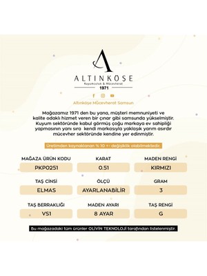 Altın Köşe 0.51 Crt Elmas Küpe