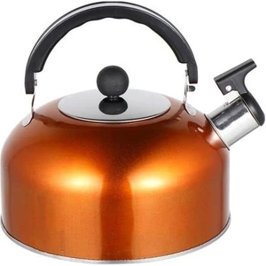 Islık Çay Su Isıtıcısı Pratik Kaynama Çaydanlık Paslanmaz Çelik Çay Kettle | Su Isıtıcılar (Yurt Dışından)