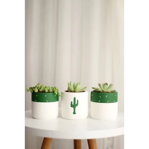 3'lü Kaktüs ve Sukulent Saksıseti Handmade