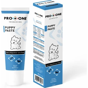 Pro One Yavru Köpekler Için Kalsiyum ve Biyotin Destekli Multivitamin Macunu 100 gr
