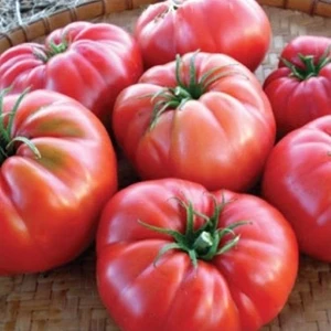 Aktar Dünyası Ata Tohumu Yerli Dilimli Pembe Köy Domatesi 100 Adet Tohum