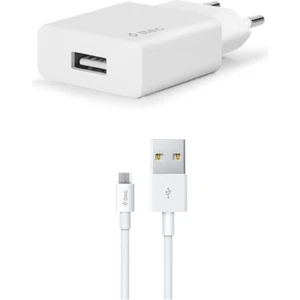 Smartcharger 2.1A Seyahat Şarj Aleti + Micro USB Kablo