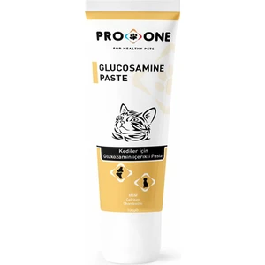 Pro One Kediler Için Glukosamin Içerikli Macun 100 gr