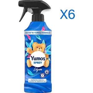 Sprey Yıkaması Zor Eşyalar Için Lilyum 450 ml x 6