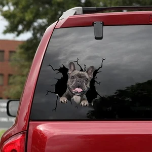 Araba Arka Cam Köpek  Sticker Yapıştırma 17 cm A3