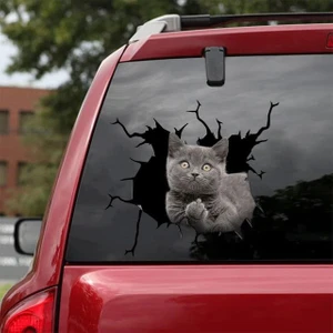 Araba Arka Gri Kedi Sticker Yapıştırma 17 cm A8