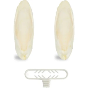 Quik PureCanpati 2ADET Mürekkep Kalamar Kemiği 6 cm Mini Boy+ Kalamar Kemiği Tutacağı