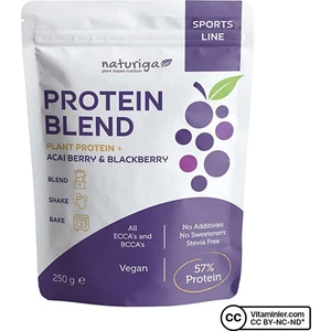 Berry Protein Karışımı 250 gr