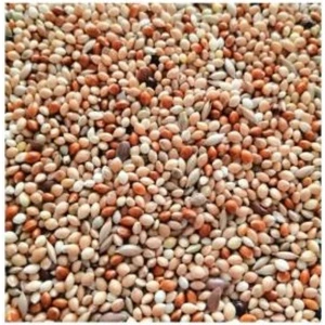 Vivid Bird Muhabbet Yemi 1 kg