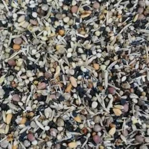 King Yabani Sağlık Tohumu 500GR